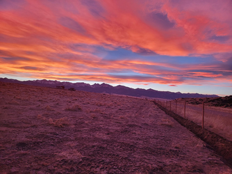 dark sunset near fence.png