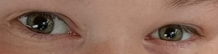 pupil.png