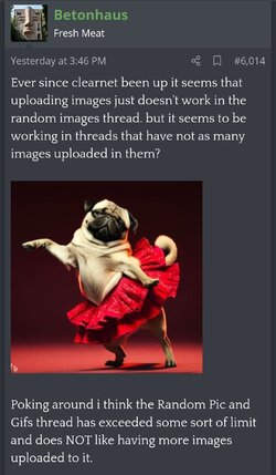 LooksFine.jpg