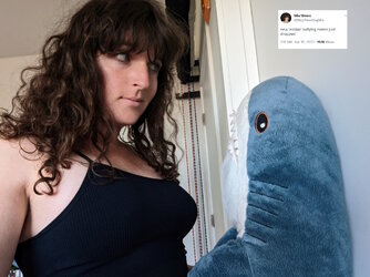 shark.jpg