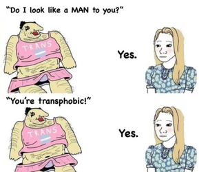 1681178238664.png