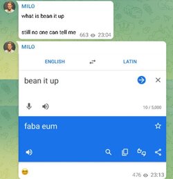 BeanItUp.jpg