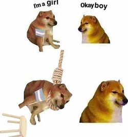 trannyok.jpg