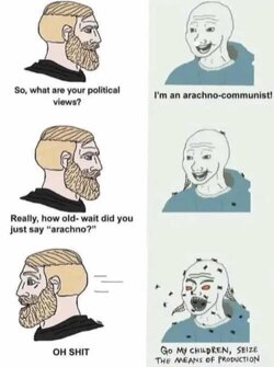 arach.jpg