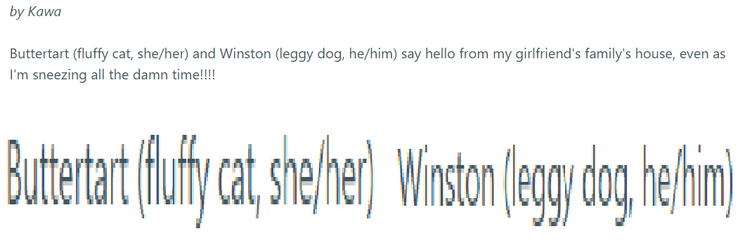 pet pronounce.png
