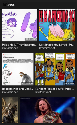 Screenshot_20230411-203327~2.png