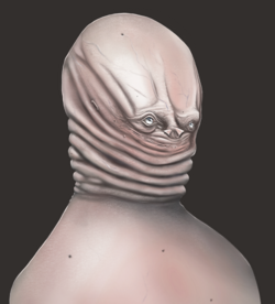 fleshyy.png