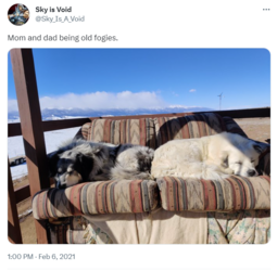 appa and naga together tweet 2.png