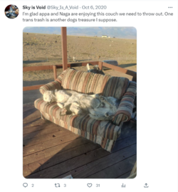appa and naga together tweet.png