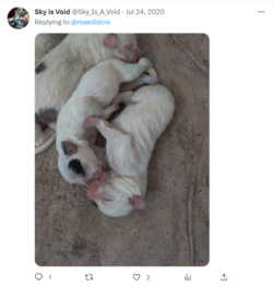 incest puppies tweet.png