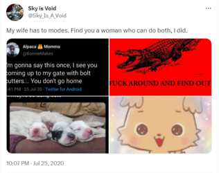 wife has two modes tweet.png