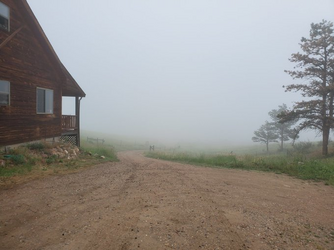 kevin tranch fog pic.png
