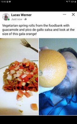 Screenshot_20230412-224506_Facebook.jpg