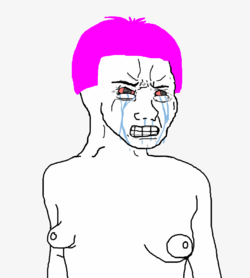 1678725328401752.png