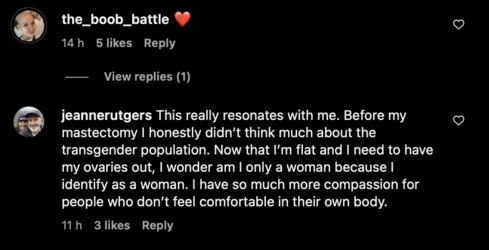 handmaidens.png