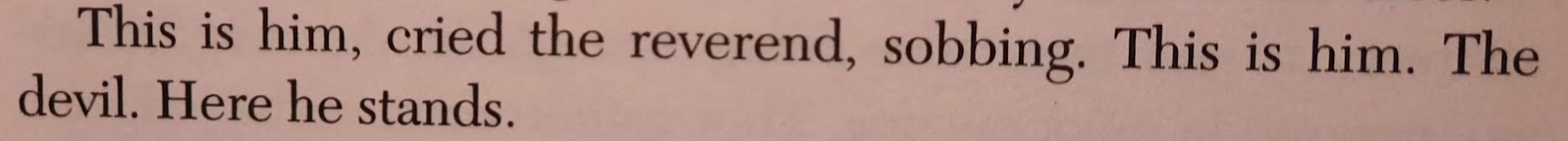 bloodmeridianexcerpt.png