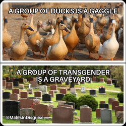 The more you know 🙌.jpg