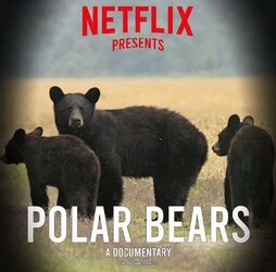 netflix polar bears documentary.jpg