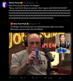 1681447435158.png