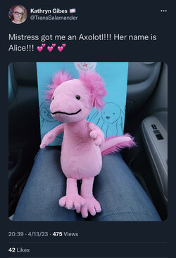 F0C3D07A-FCA2-4100-9D4B-D7860F6DE362.jpeg
