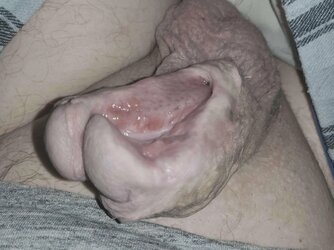 a9y125x7wfsa1.jpg