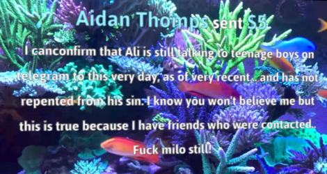 1681466003580.png