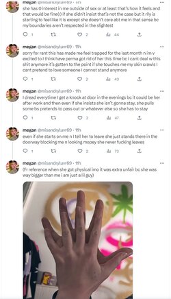 m3ganMisandry3.jpg