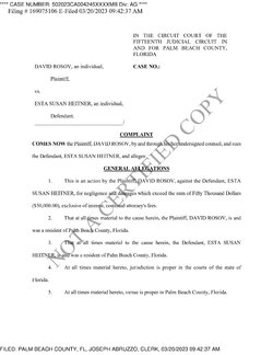 David Rosov lawsuit 1.jpg