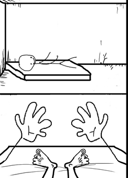 perception.png