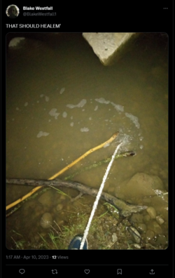 PISSING ON STICKS.png PISSING ON STICKS.png
