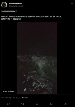 what does it all mean.png