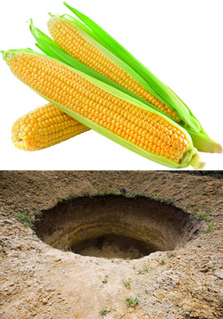 imgonline-com-ua-twotoone-rAaJoqeCjpkAYRA.png