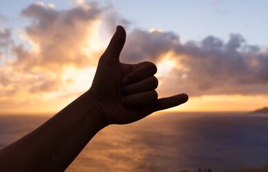 Shaka_shutterstock_178198889_0_0.jpg