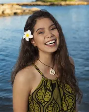1681667799528.png