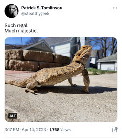 B3E747D5-E7A2-48F4-84F4-3C4E511195F8.jpeg