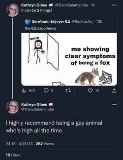 4B4D6DCD-D0FC-416D-8A34-46C336879DF4.jpeg