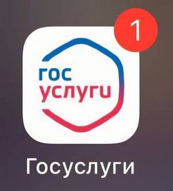 985.jpg
