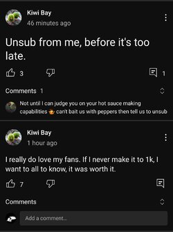 Screenshot_20230417_125718_YouTube.jpg