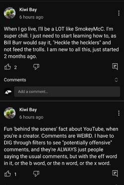 Screenshot_20230417_130822_YouTube.jpg