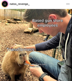 1681742359687.png