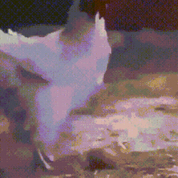 1680874569431085.gif