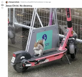 fatfuck2.png