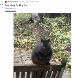 fatfuck3.png