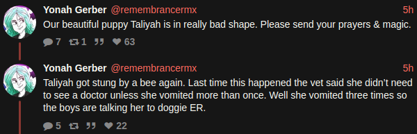dog.png