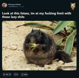 1681801929369.png