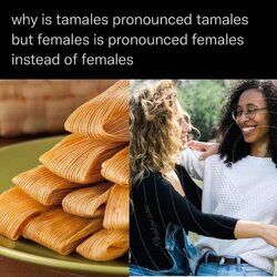 Females.jpg