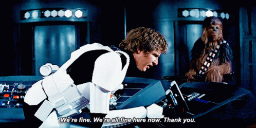 han-solo-fine.gif