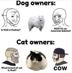 tumblr_9063d6b4e0c961e7aded18c8366a75a3_2ab05fe6_640.jpg