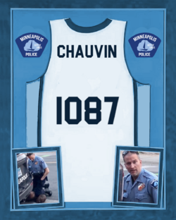 chauvin.png