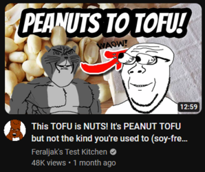 this tofu is nuts.png